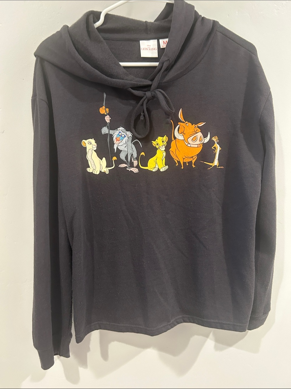 Disney Black Lion King Pullover Hoodie with Colorful Character Row